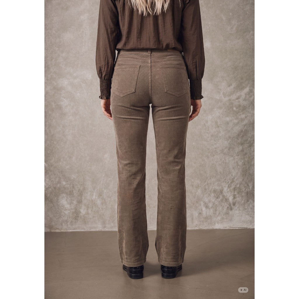 Barbel New Pant