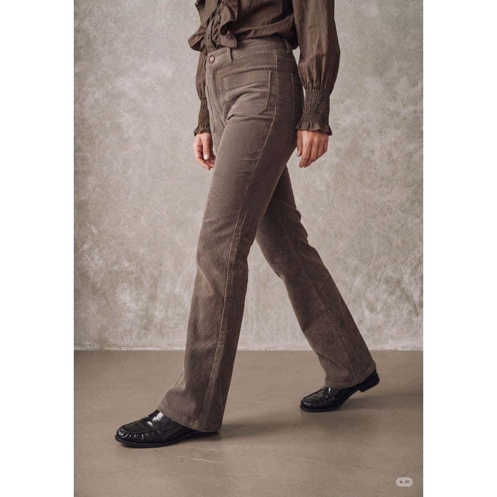 Barbel New Pant