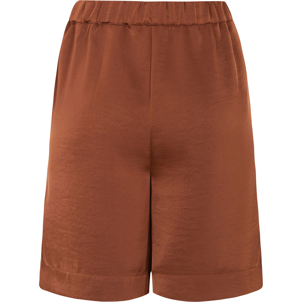 TDKiron Satin Shorts